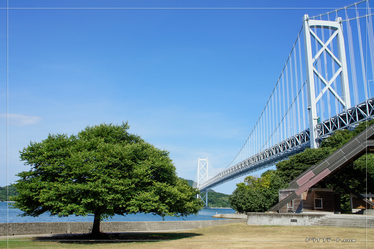 因島大橋と大きな木