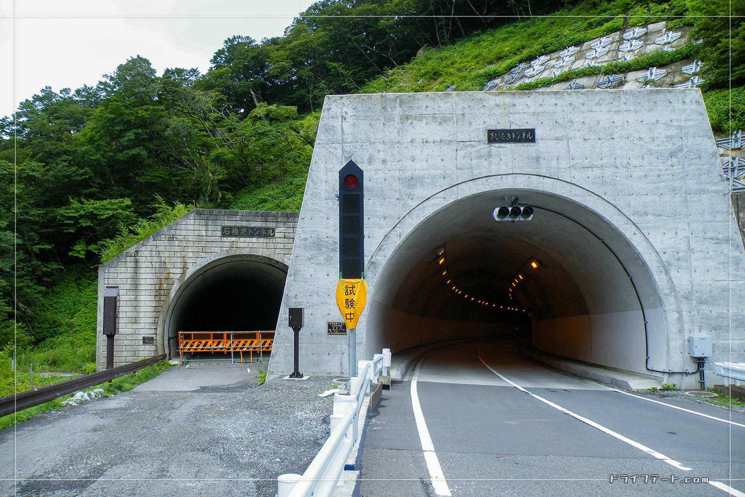 きじたきトンネルと石楠花トンネルが並ぶ不思議な光景